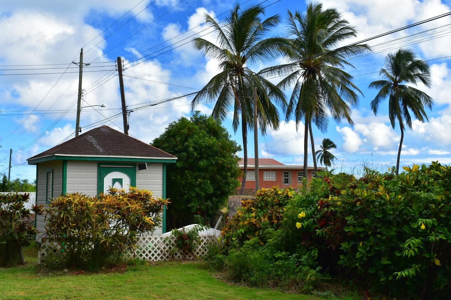 DFG_Projekt_Chitwood_1